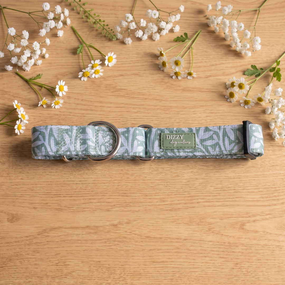 Wild Grove: Sage Vines | Martingale Dog Collar