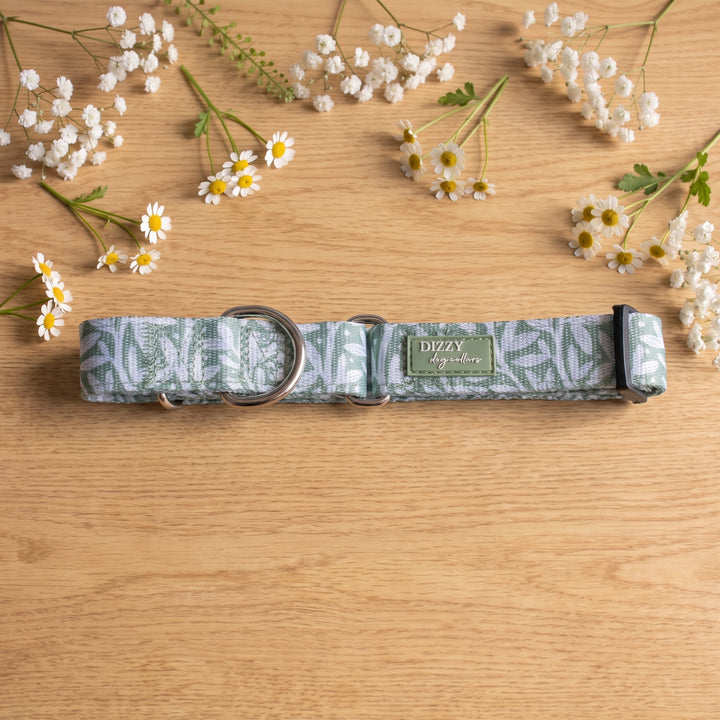Wild Grove: Sage Vines | Martingale Dog Collar