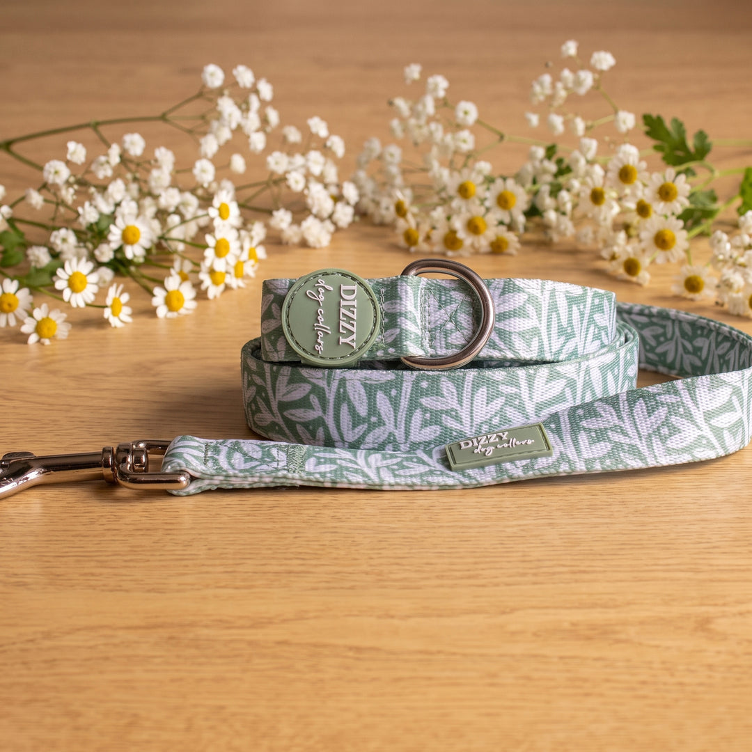 Wild Grove: Sage Vines Dog Leash | Fully Padded
