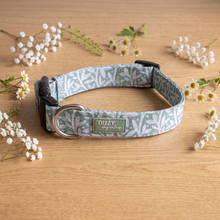 Wild Grove: Sage Vines Dog Collar | Neoprene Dog Collar