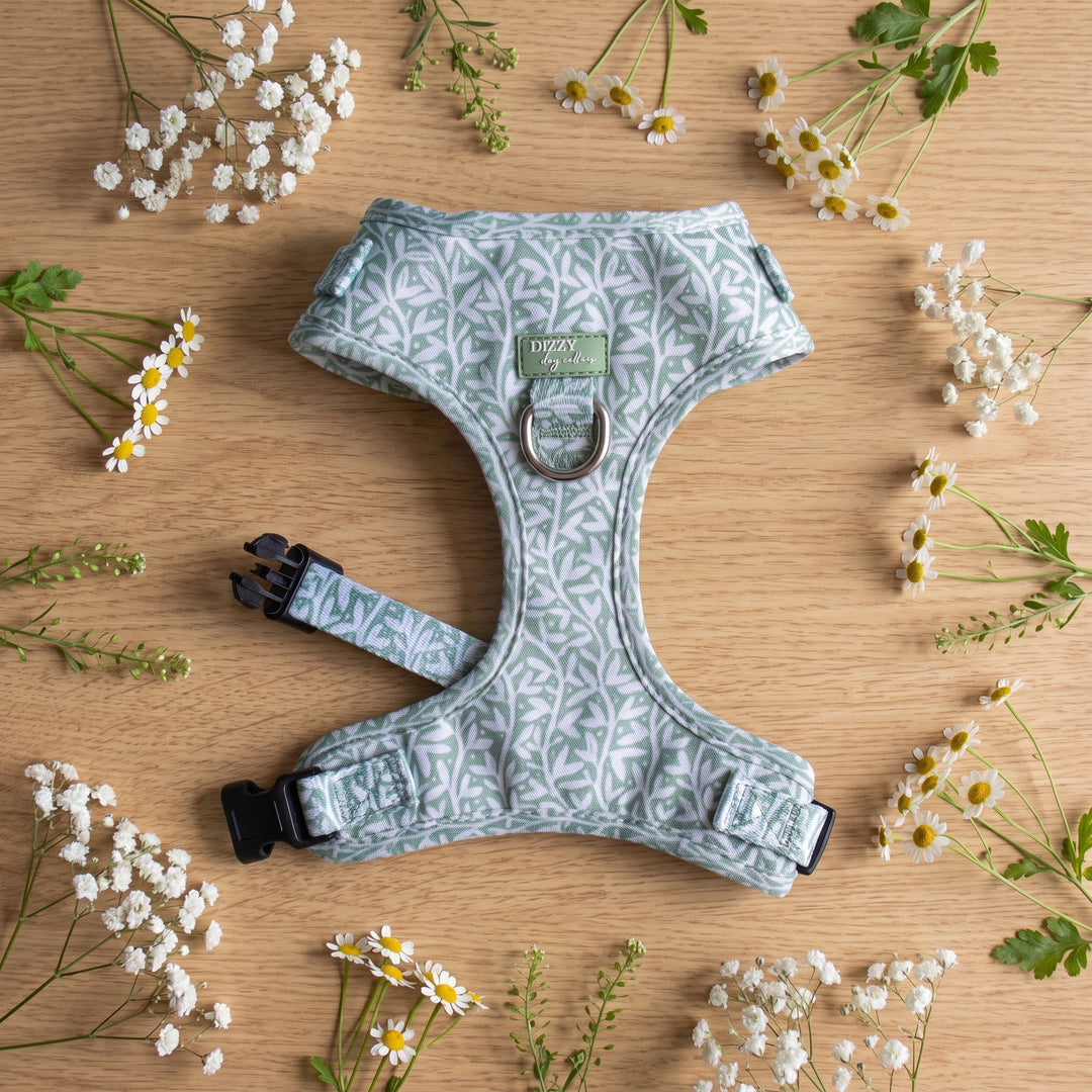 Wild Grove: Sage Vines | Neck Adjustable Dog Harness