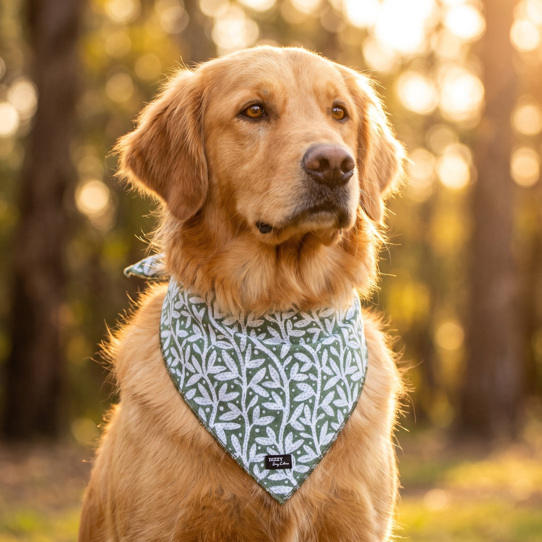 Wild Grove: Sage Vines Dog Bandana - Tie Up Style