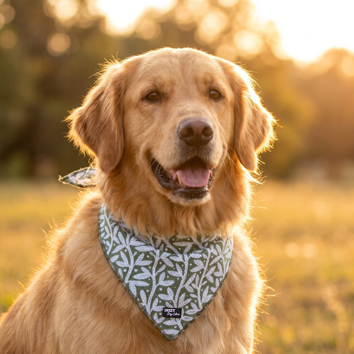 Wild Grove: Sage Vines Dog Bandana - Tie Up Style