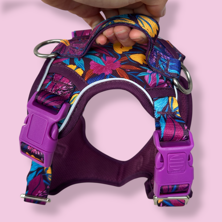 No Pull Dog Harness with Handle | Step in & Reflective | STAINLESS STEEL | Sapphire Showers