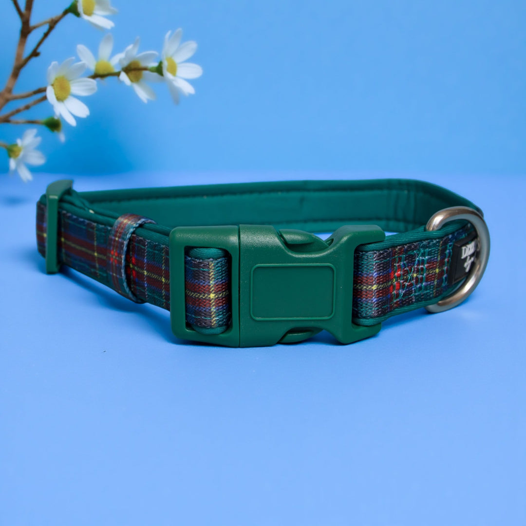 Green dog collar with plaid pattern on a blue background