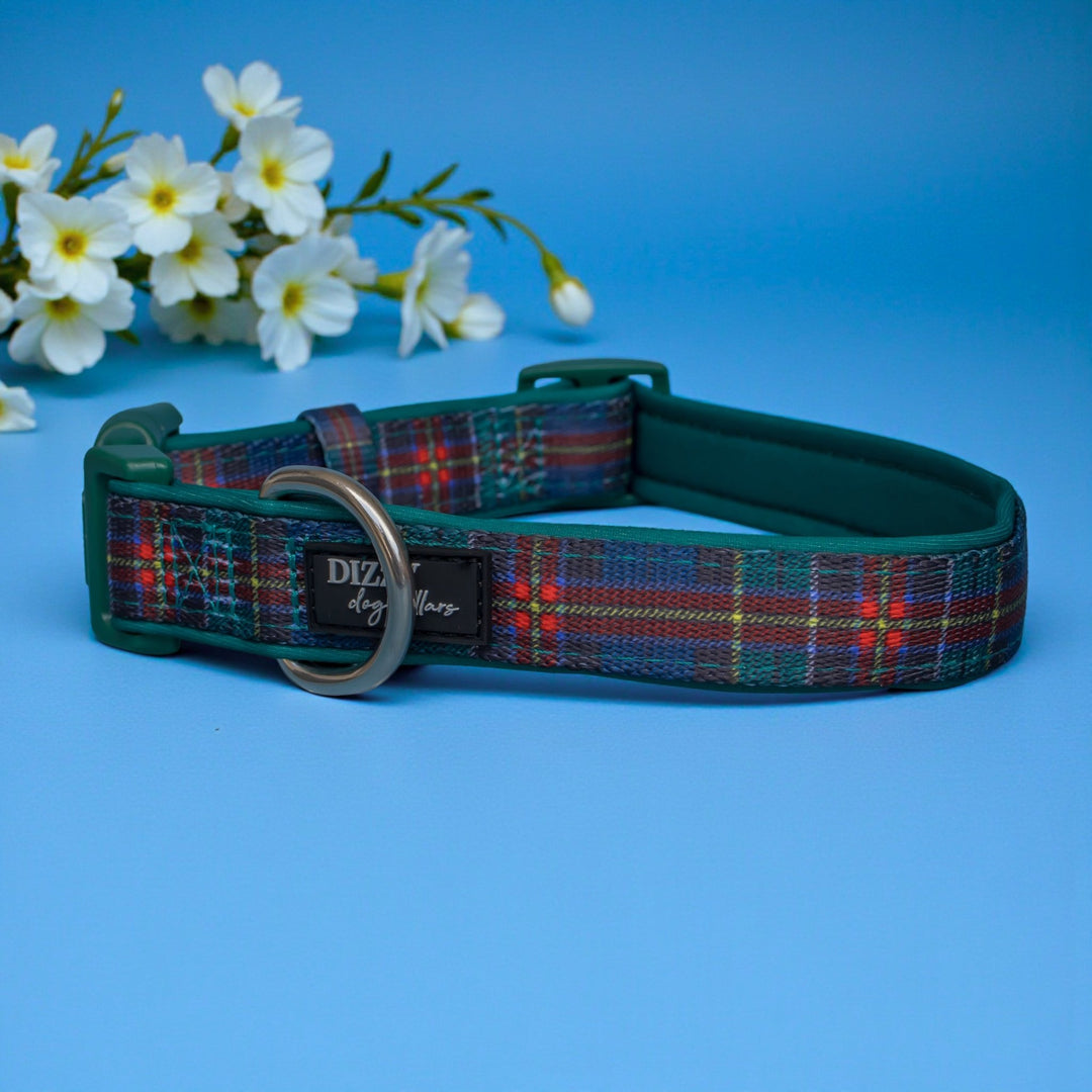 Plaid dog collar with green border on a blue background