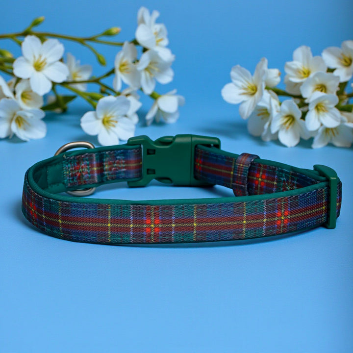 Plaid dog collar with green buckle on a blue background with white flowers