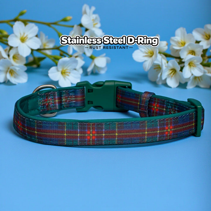 The Hamish: Neoprene Dog Collar | Tartan STAINLESS STEEL
