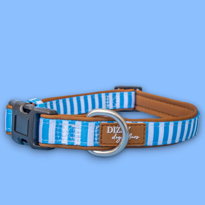 Seaside Stroll Dog Collar | Neoprene Dog Collar | Stainless Steel