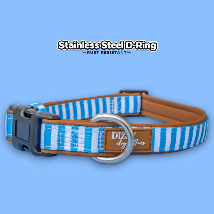 Seaside Stroll Dog Collar | Neoprene Dog Collar | Stainless Steel