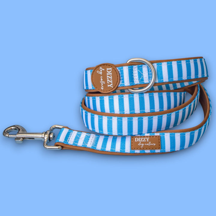 Seaside Stroll Dog Leash | Fully Padded Neoprene Lead | Stainless Steel