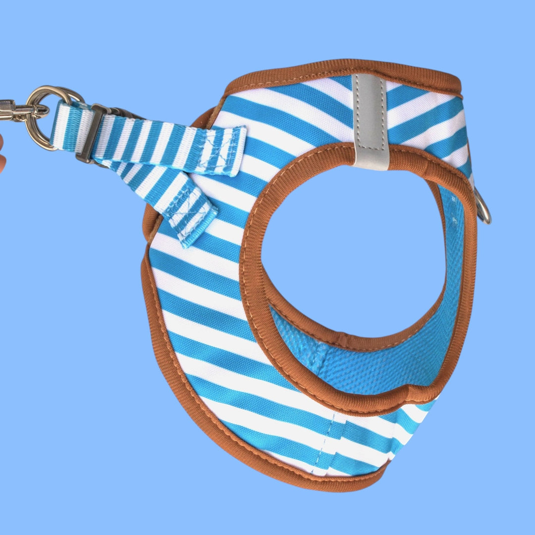 Blue and white striped dog harness with brown padding on a blue background