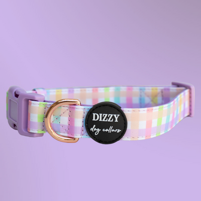 Sherbet Gingham Dog Collar | Canvas & Neoprene Dog Collar-Dog Collar-Dizzy Dog Collars