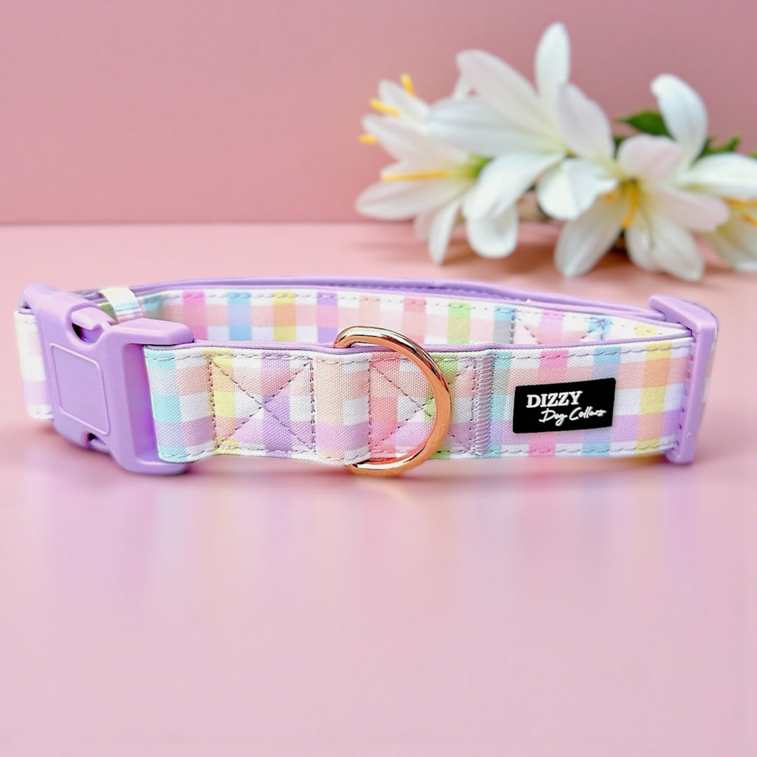 Pastel checkered dog collar with a pink buckle on a pink background