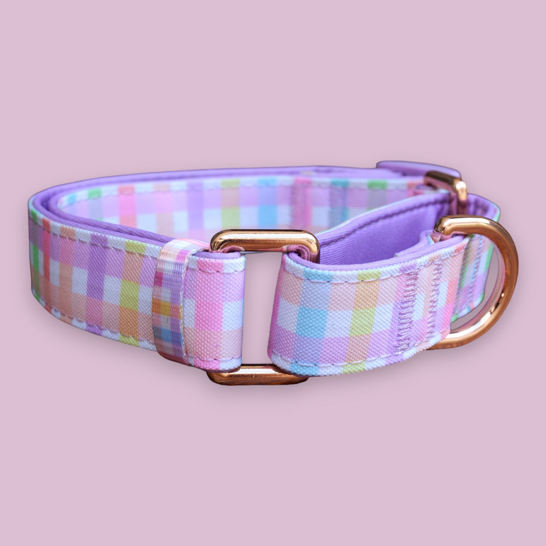 Martingale Dog Collar Sherbet Gingham - Main Image