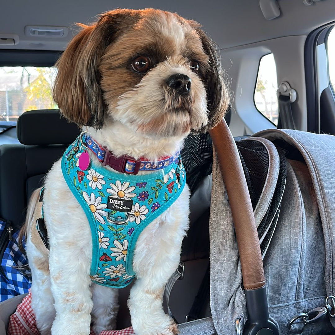 DOG HARNESS | Ladybird Lane | Neck Adjustable Dog Harness