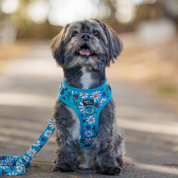 DOG HARNESS | Ladybird Lane | Neck Adjustable Dog Harness