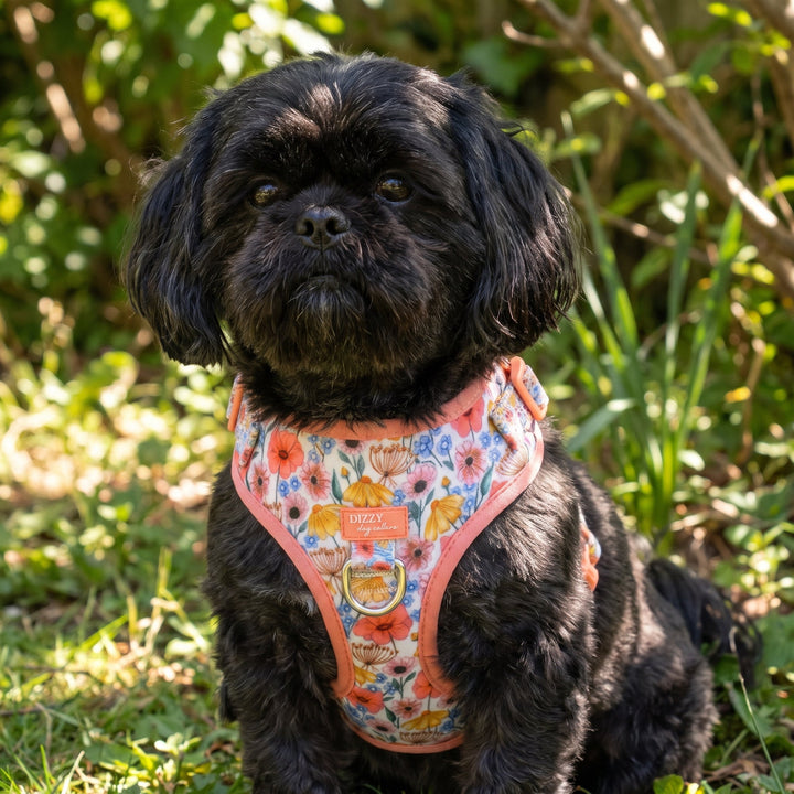 DOG HARNESS | Peachy Posies | Neck Adjustable Dog Harness