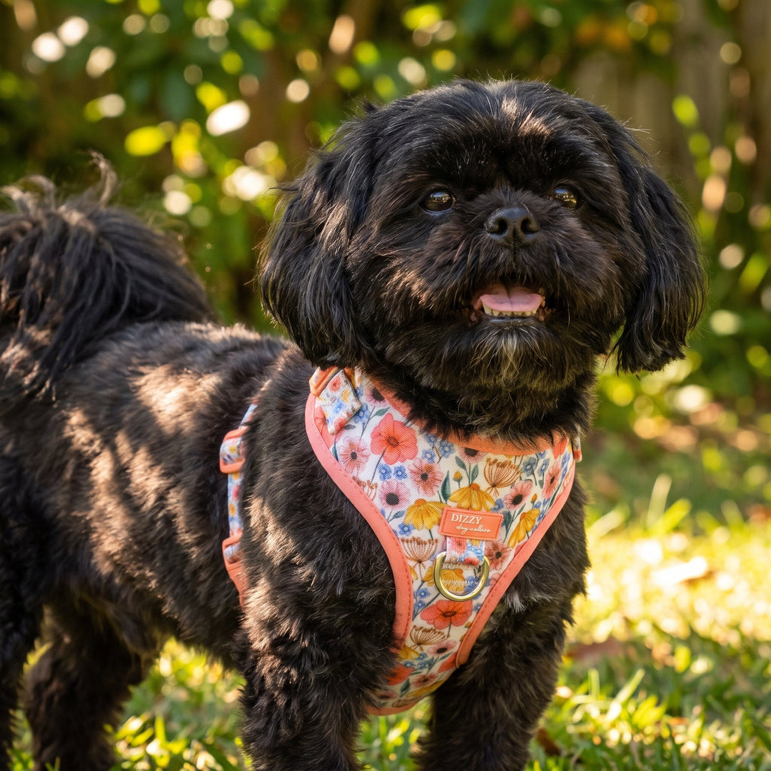 DOG HARNESS | Peachy Posies | Neck Adjustable Dog Harness