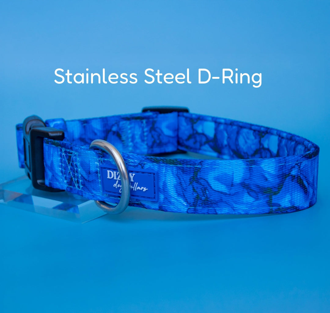 Blue dog collar with stainless steel D-ring on a blue background