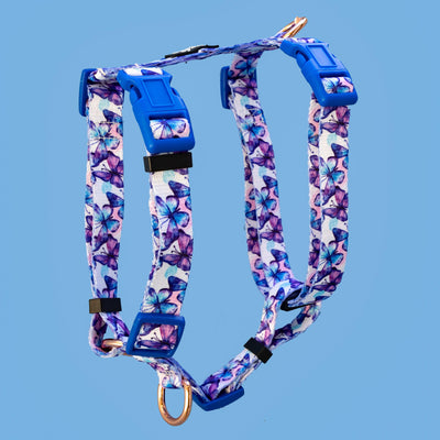 Step in H-Harness with front & back attachment - Butterfly Ballet-Harness-Dizzy Dog Collars