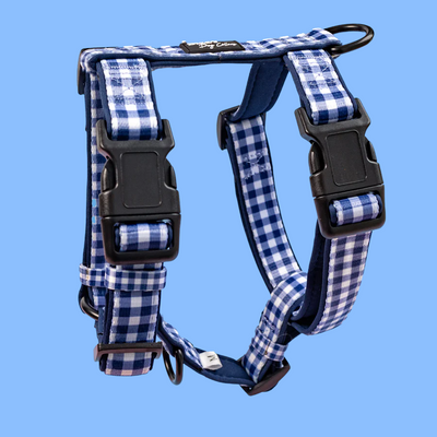 Step in H-Harness with front & back attachment | Navy Gingham | Fully Padded Neoprene Harness-H-Harness-Dizzy Dog Collars