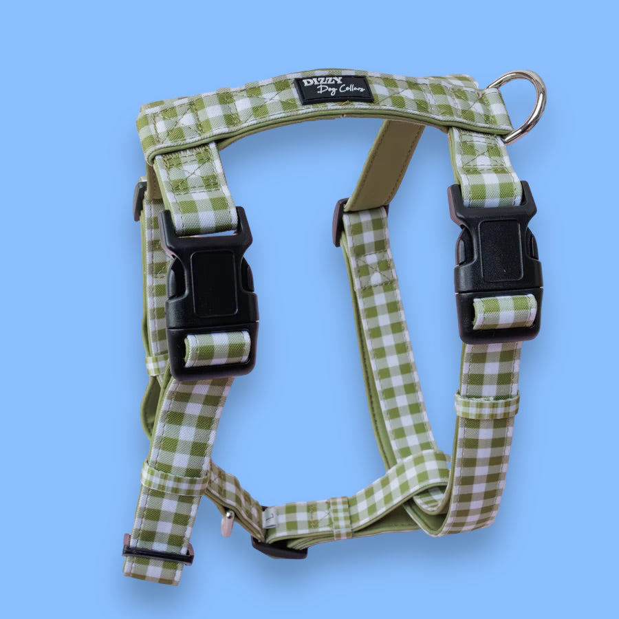 Step in H-Harness with front & back attachment | Olive Gingham | Fully Padded Canvas & Neoprene Harness-H-Harness-Dizzy Dog Collars