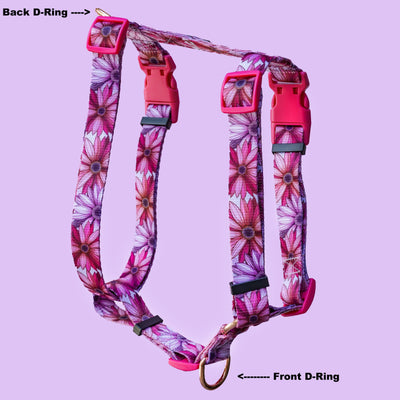 Step in H-Harness with front & back attachment - Perfect Petals-Harness-Dizzy Dog Collars