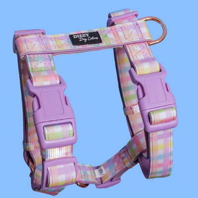Step in H-Harness with front & back attachment | Sherbet Gingham | Fully Padded Canvas & Neoprene Harness-H-Harness-Dizzy Dog Collars