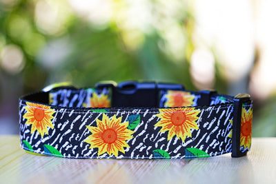 Sunflower Dog Collar (3.8cm - Extra Wide) Buckle or Martingale (Handmade to order)-Dog Collar-Dizzy Dog Collars