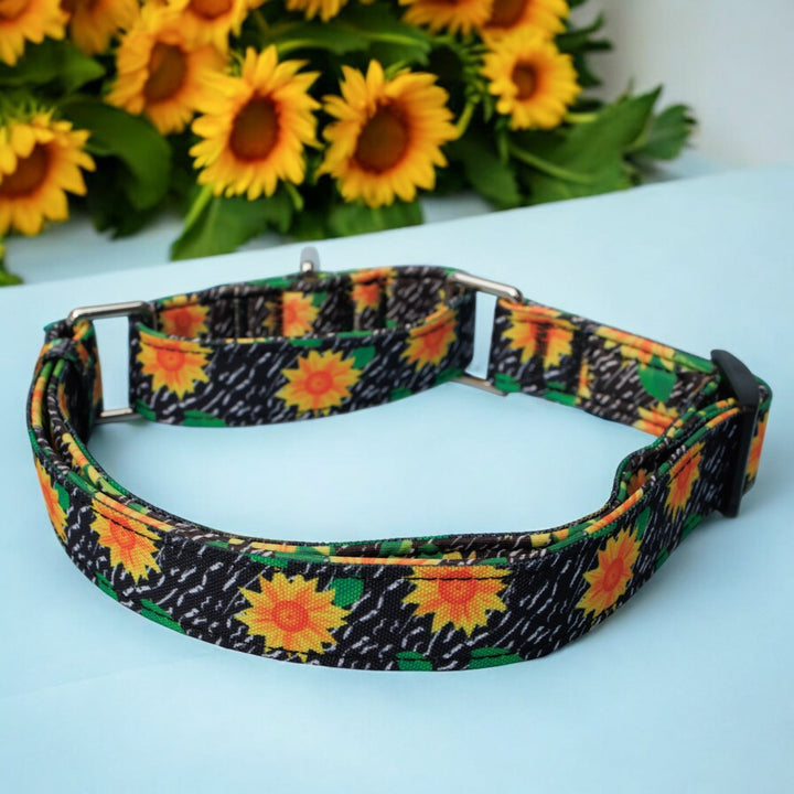 Martingale Dog Collar | Sassy Sunflowers
