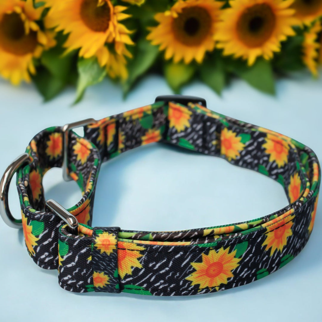 Martingale Dog Collar | Sassy Sunflowers