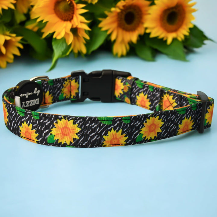 Sassy Sunflowers Dog Collar | Canvas & Neoprene Dog Collar