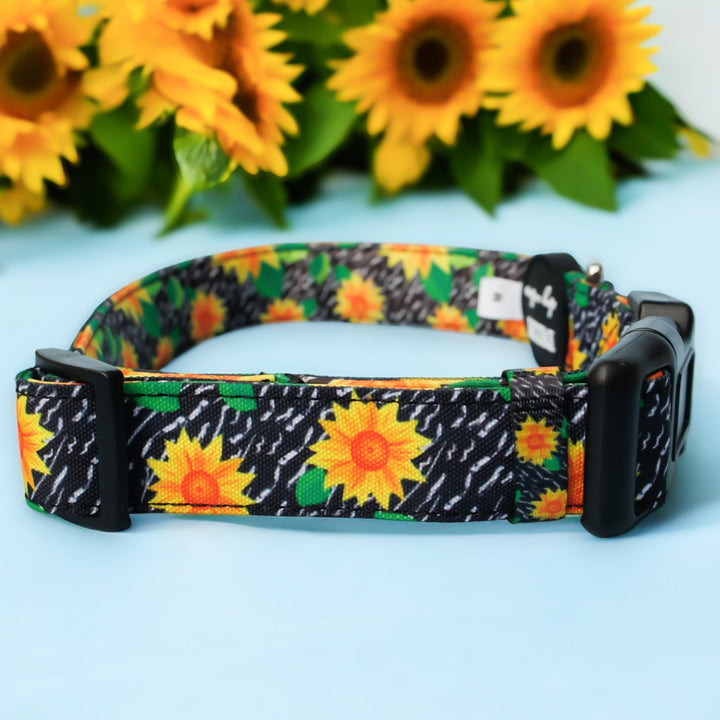 Sassy Sunflowers Dog Collar | Canvas & Neoprene Dog Collar