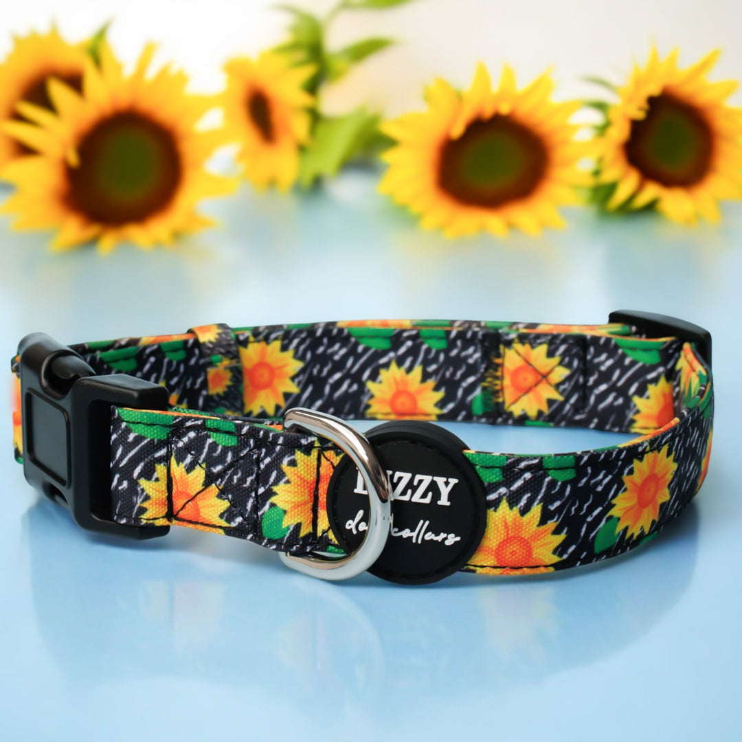 Sassy Sunflowers Dog Collar | Canvas & Neoprene Dog Collar