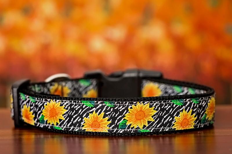 Sunflower Dog Collar / XS-XL-Dog Collar-Dizzy Dog Collars-XS 1.5cm Wide (5/8")-Dizzy Dog Collars