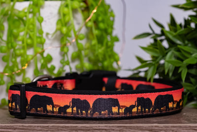 Sunset Elephants Dog Collar (With Neoprene Padding)-Dog Collar-Dizzy Dog Collars
