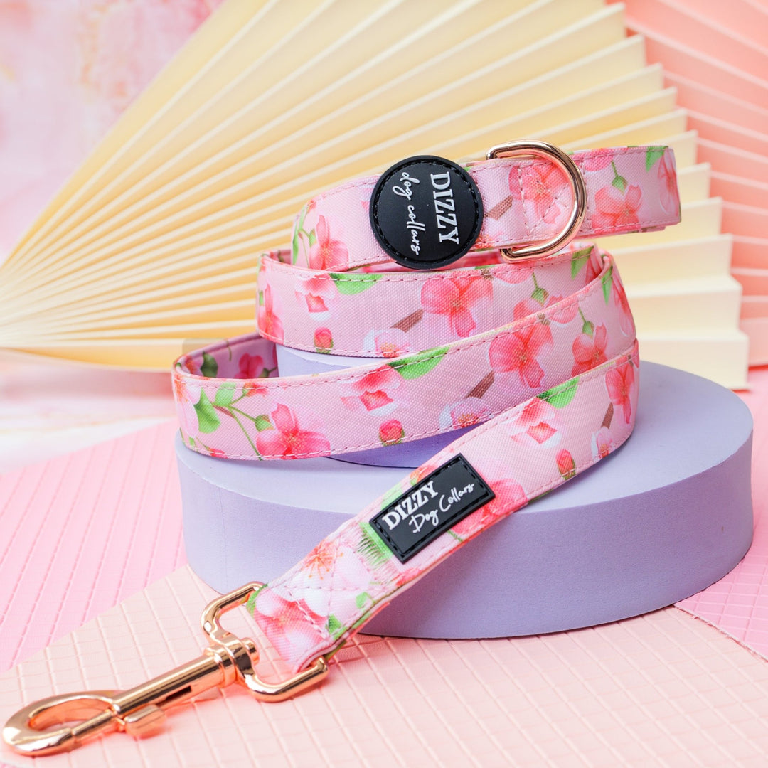 Sweet Sakura Dog Leash Fully Padded Leash