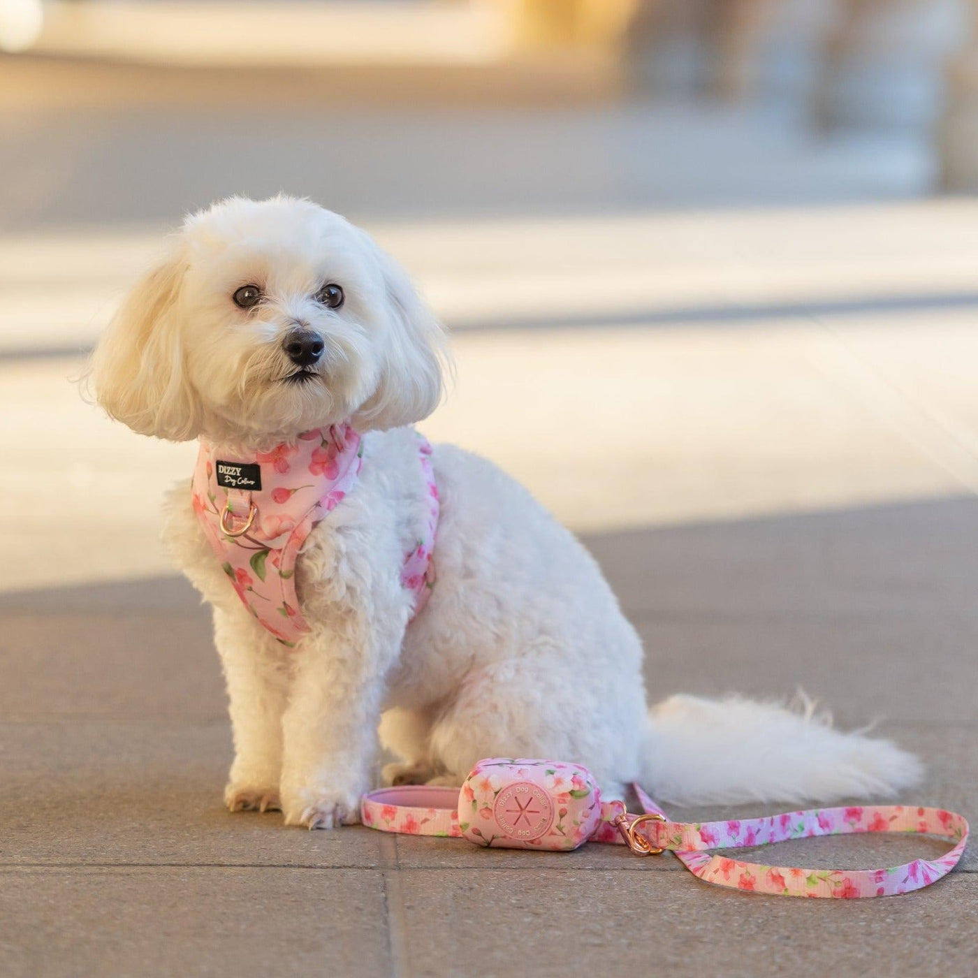 Sweet Sakura | Dog Leash | Dog Lead-Dizzy Dog Collars