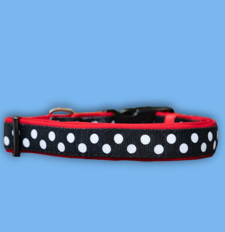 The Spotty Dox Dog Collar-Dog Collar-Dizzy Dog Collars