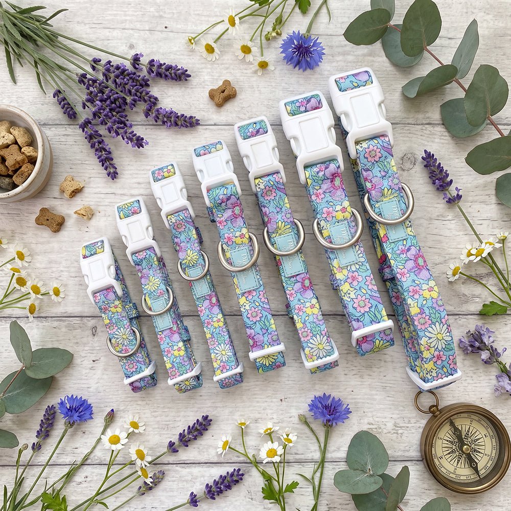 Floral Fable Dog Collar | Neoprene Dog Collar | Stainless Steel