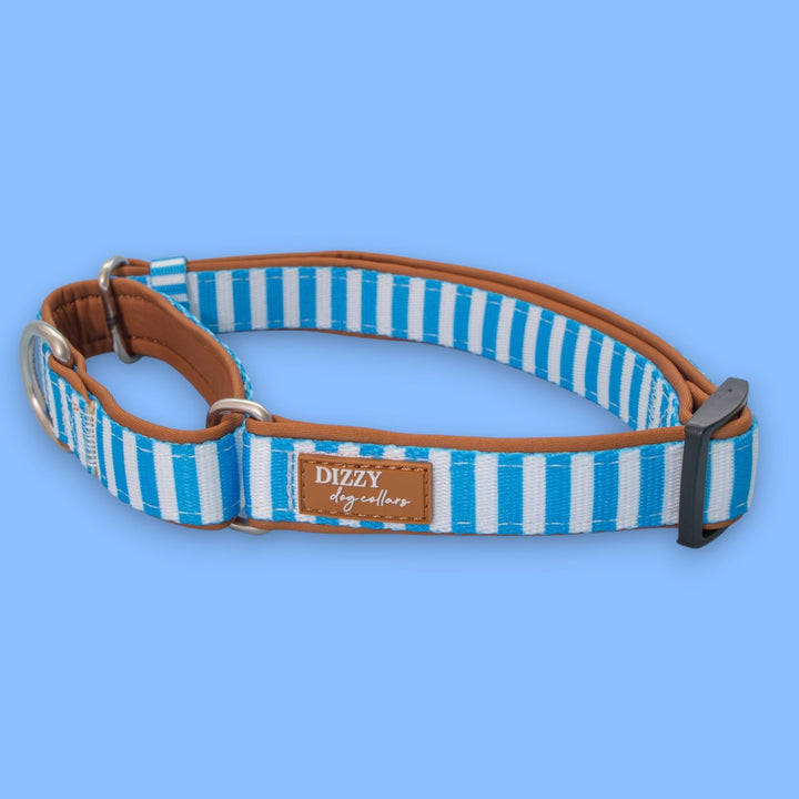 Martingale Dog Collar - Seaside Stroll | Neoprene Padded | Stainless Steel