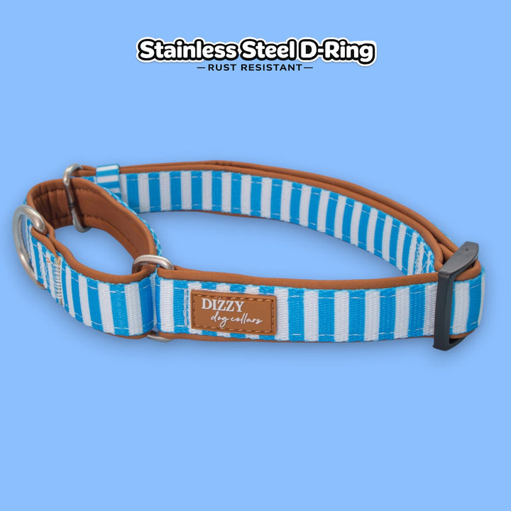 Martingale Dog Collar - Seaside Stroll | Neoprene Padded | Stainless Steel