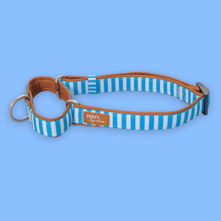 Martingale Dog Collar - Seaside Stroll | Neoprene Padded | Stainless Steel