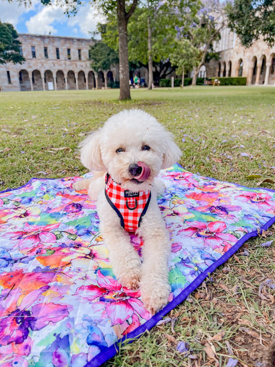 Trolley Mat | Dog Picnic Mat | The Willow: Watercolour Floral-Dizzy Dog Collars