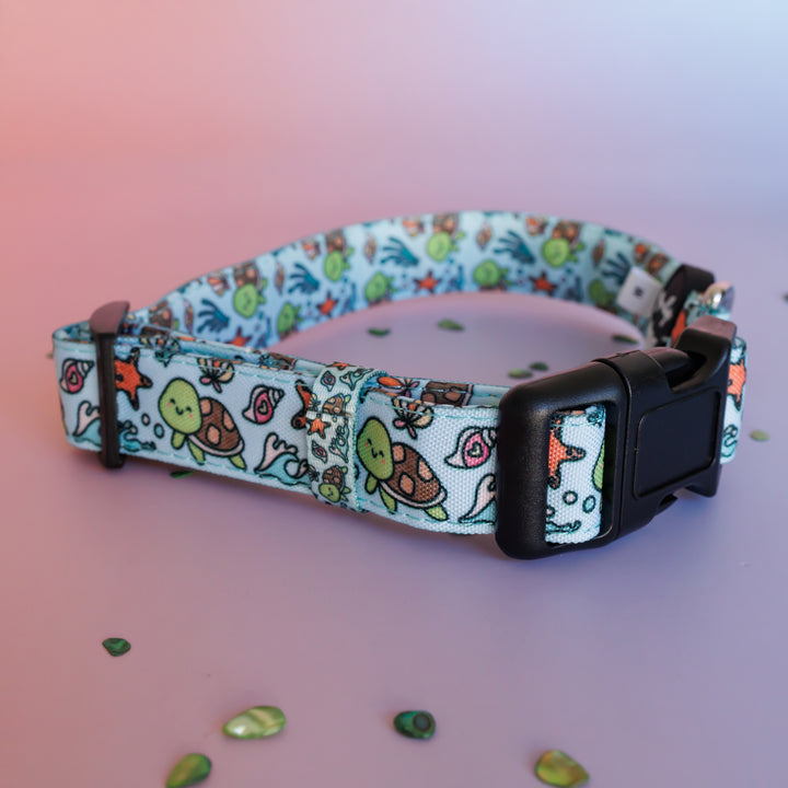 Turtle Tots Dog Collar | Canvas & Neoprene Dog Collar