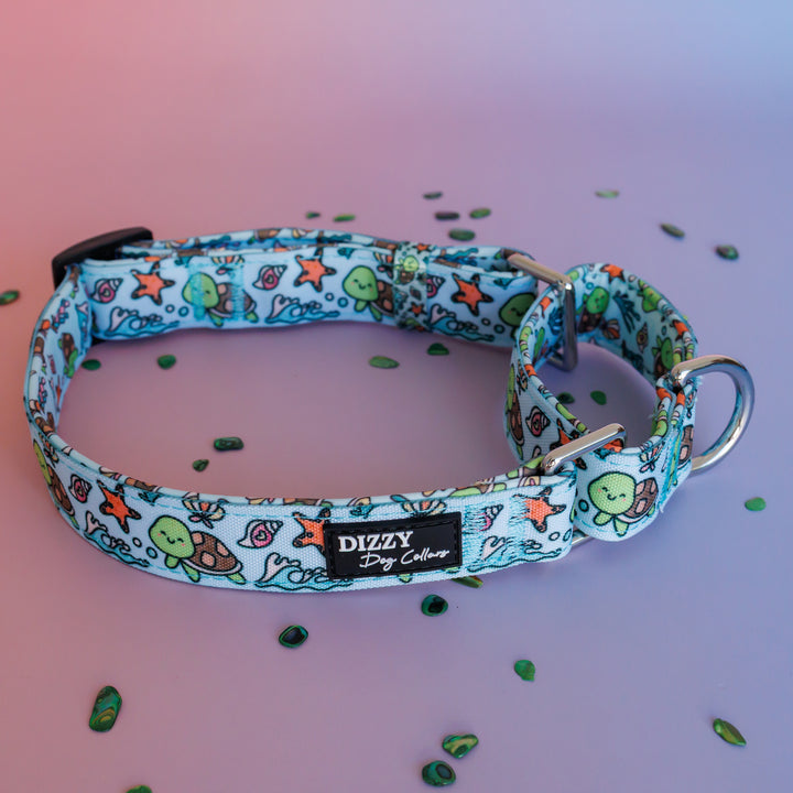 Martingale Dog Collar | Turtle Tots