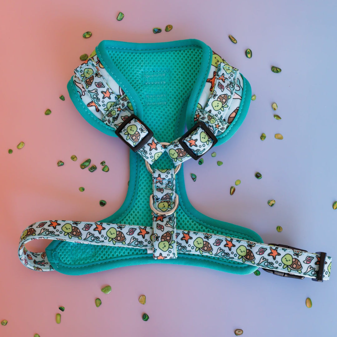 DOG HARNESS | Turtle Tots | Neck Adjustable Dog Harness – Dizzy Dog Collars