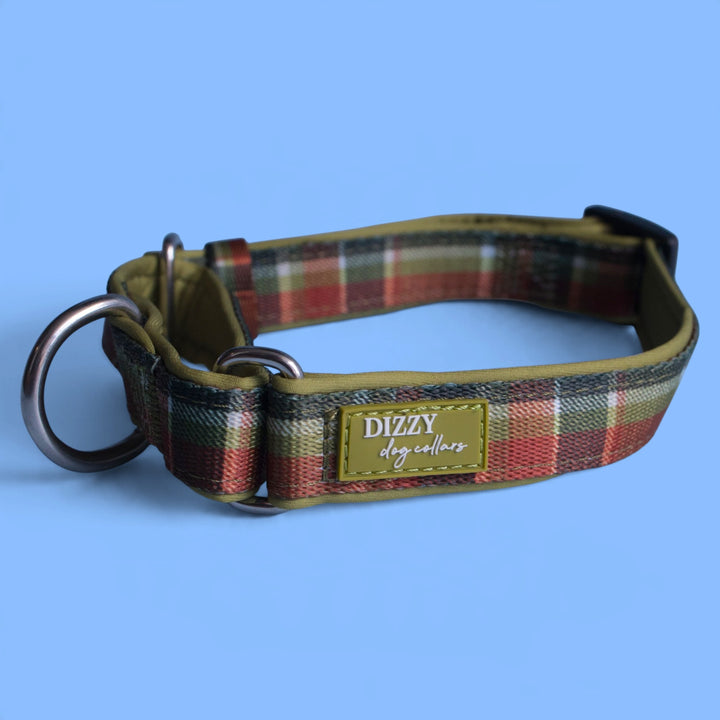 Martingale Dog Collar | An Olive Christmas