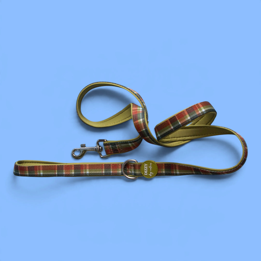 An Olive Christmas  Dog Leash | Fully Padded Dog Leash
